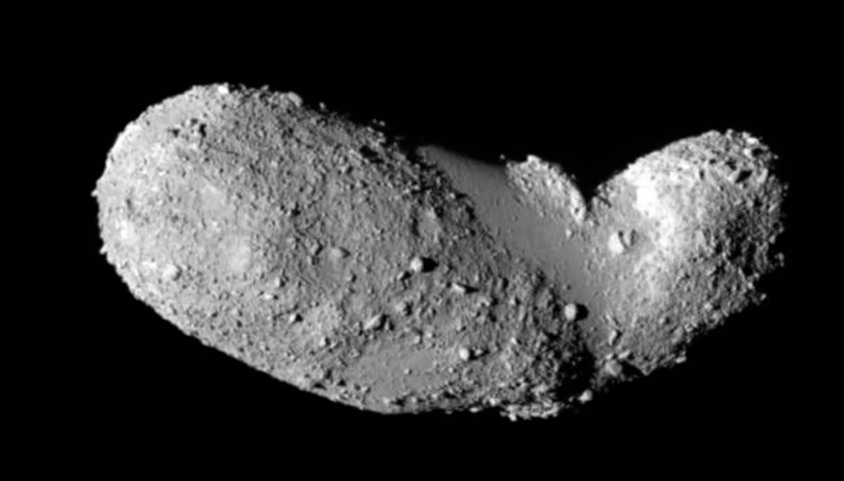 The peanut-shaped near-Earth asteroid 25143 Itokawa, imaged by JAXA's Hayabusa.