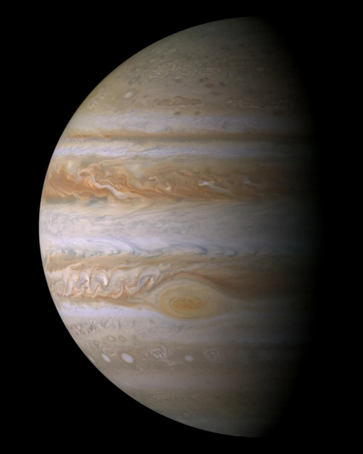 True-color portrait of Jupiter from Cassini.