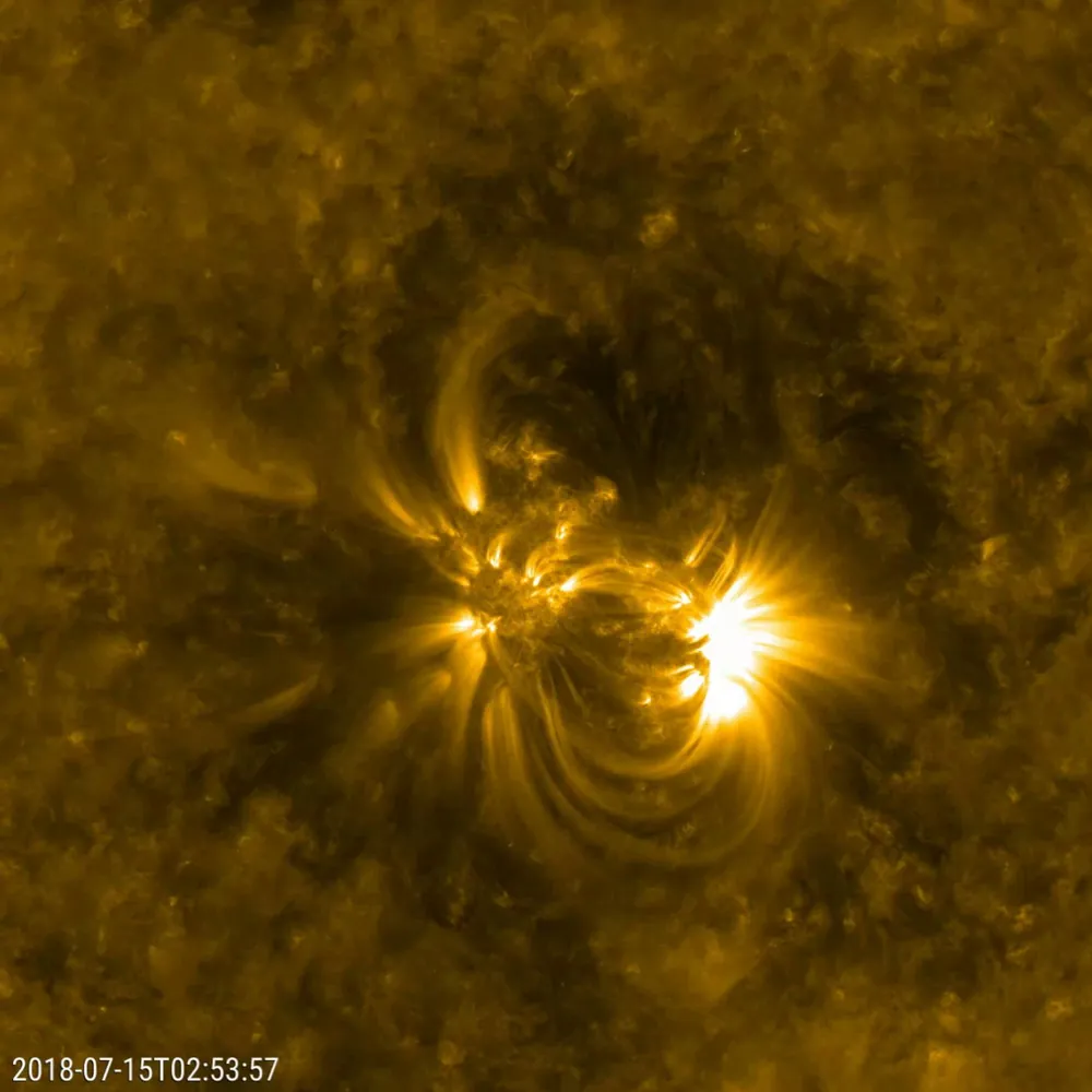 Coronal loops arching above a solar active region.