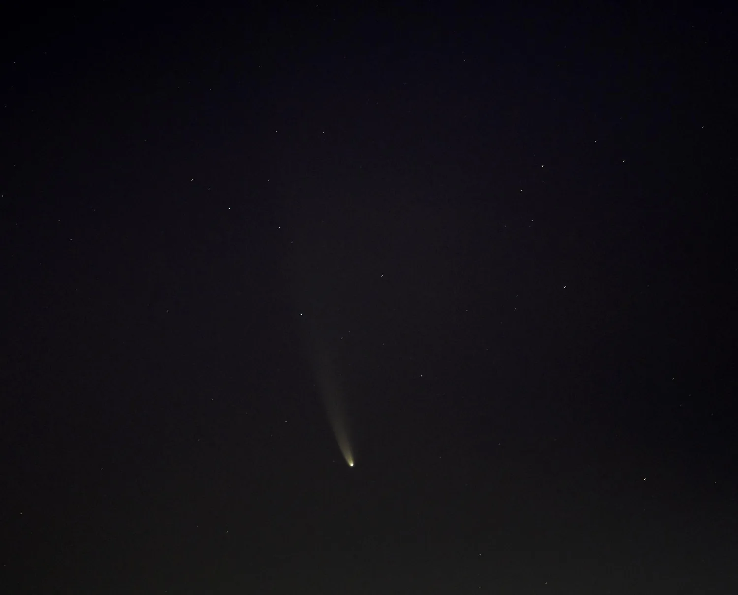 NEOWISE